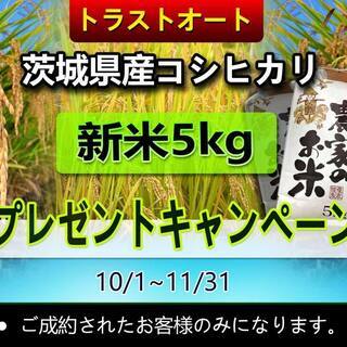 茨城県コシヒカリ新米プレゼントキャンペーン★当店でお車をご成約さ...