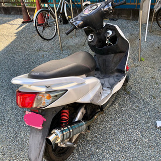 なつ シグナス 台湾5期