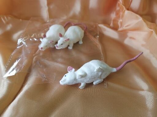 白ネズミのおもちゃ ミーちゃん 聖蹟桜ヶ丘のおもちゃ バーチャルペット の中古あげます 譲ります ジモティーで不用品の処分