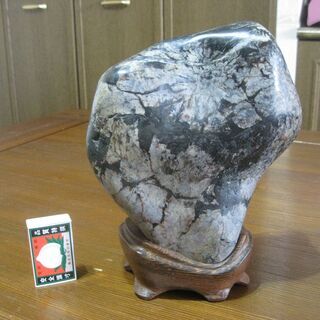 貴重な菊化石、格安