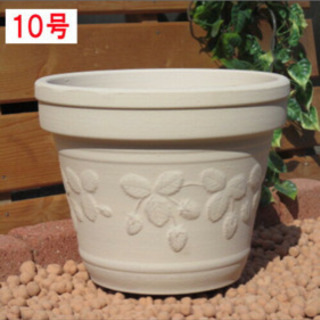 10号 植木鉢