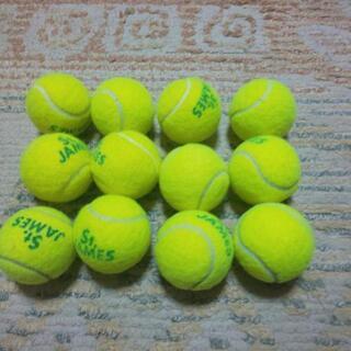 50球テニスボール