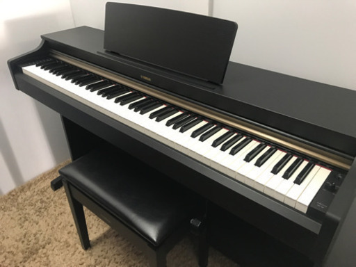 【完売しました】YAMAHA アリウス《YDP162》