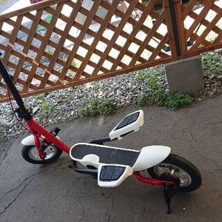 足こぎキックボード！！普通乗りもダイエットにも！！