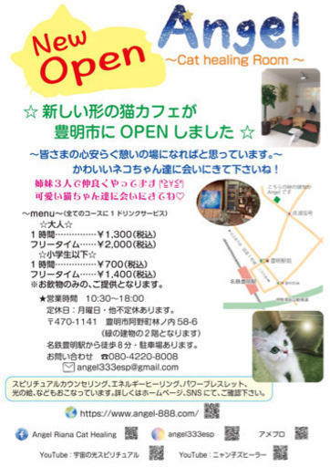 新しい形のネコカフェ Angel 豊明のペットの無料広告 無料掲載の掲示板 ジモティー