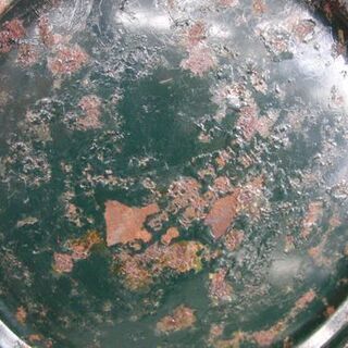 コールマン ガソリンランタン ツーマントル パワーハウス 290 もみの木