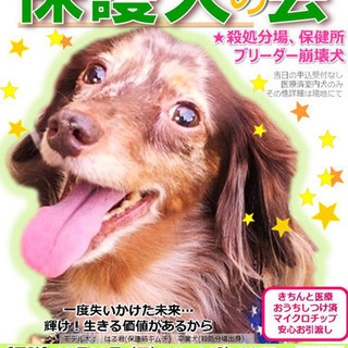 保護犬医療費支援フリーマーケット