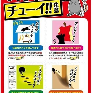 新品 デスモアプロ 投げ込みタイプ ネズミ駆除剤 5gx6包入 Mt 池袋のその他の中古あげます 譲ります ジモティーで不用品の処分 新品 デスモアプロ 投げ込みタイプ ネズミ駆除剤 5gx6包入 Mt 池袋のその他の中古あげます 譲ります ジモティーで不用品の処分