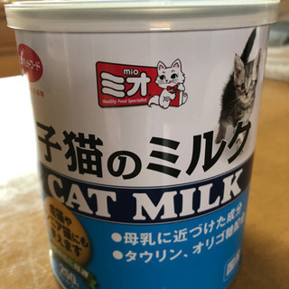 仔猫のミルク　