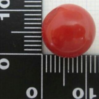 コロナ禍支援大特価 赤珊瑚 11mm 今ではなかなか入手困難な赤珊瑚