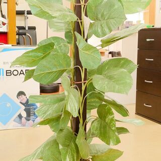 消臭も出来る？！ 観葉植物 オブジェ お洒落で室内空間を彩ります...