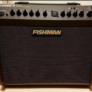 【ネット決済】バッテリー駆動　持ち運び可能　Fishman Lo...