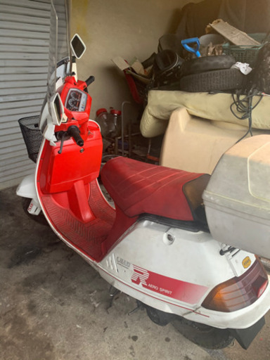 リード　５０　R