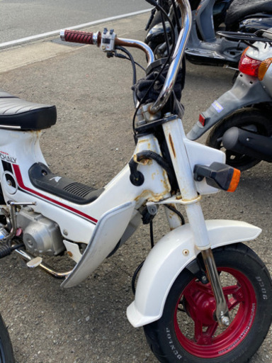 HONDA シャリー50 少しカスタム　実動　福岡市南区