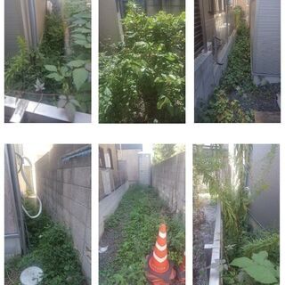 杉並の便利屋「タスかる」格安高圧洗浄始めました！！