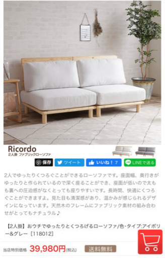 【引き取り大歓迎】Ricord 2人掛けローソファー　ツーシーター