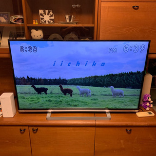 東芝　REGZA 50インチ　薄型　液晶テレビ