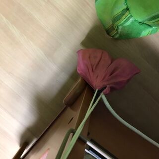 介護用 ポータブルトイレ パナソニック (脱臭・便座ヒーター機能付) Panasonic あたたか便座タイプ 家具調 おしゃれなデザイン