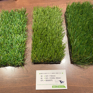 サンプル 芝生 3種類