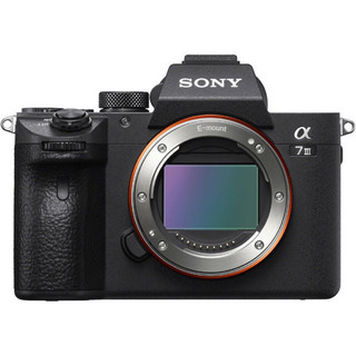 2/20まで】EOS 5D Mark III + 24-105mm F4L (アングルファインダー付き）