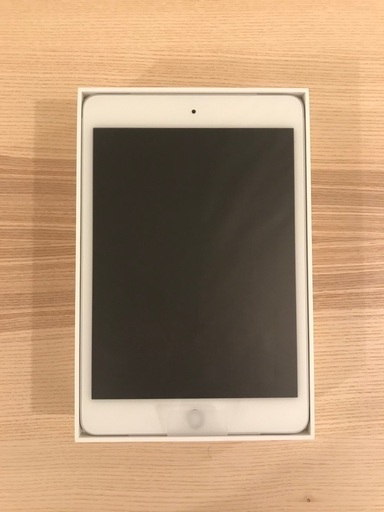 極美品 iPad mini 5 wifi 256GB (第5世代)
