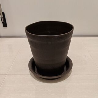 プラスチック製鉢(直径17.5)、受皿