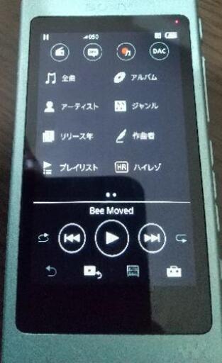 SONY　ウォークマン　WALKMAN　NW-A45（16G）