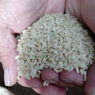 農家直販□長野県木島平産コシヒカリ米2019年度産◇飯山産 木島平特A