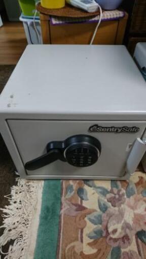 耐火金庫 Sentry Safe