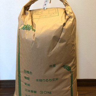 《取引決定》令和元年度の日本晴の玄米です。