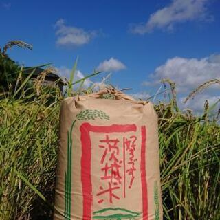 茨城令和2年産新米マンゲツモチ玄米30㎏ ② 茨城令和2年産新米マンゲツモチ玄米30㎏ ②