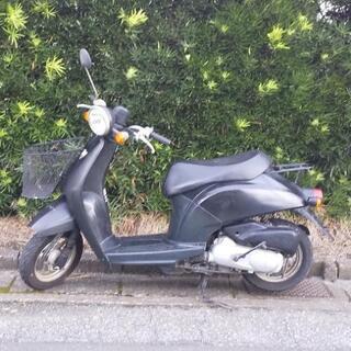 HONDA トゥデイAF61 実働車 passtheot.com