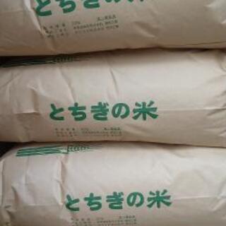 令和2年栃木県産コシヒカリ玄米30キロ