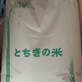 令和2年栃木県産コシヒカリ玄米30キロ
