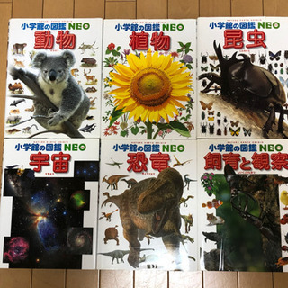 ⭐️小学館の図鑑NEO 6冊⭐️ 500円