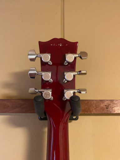 エドワーズSG. エドワーズSG ED1328570