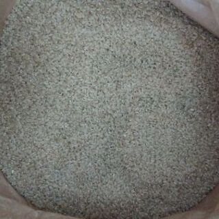 令和2年　広島県産あきろまん玄米30kg
