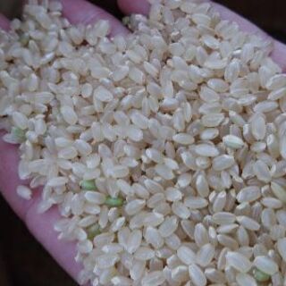 楽天市場】お米 30kg 送料無料 あきろまん 広島県産 令和6年産