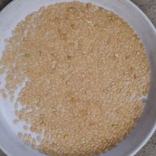 令和2年 広島県産あきろまん玄米30kg
