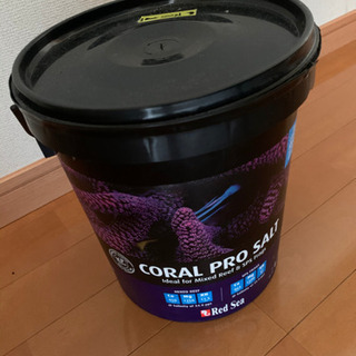 サンゴ水槽譲ります。バラ売りも可能です！