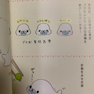 ワタシとまめゴマ日記 Yom Yom 塚本の本 Cd Dvdの中古あげます 譲ります ジモティーで不用品の処分 ワタシとまめゴマ日記 Yom Yom 塚本の本 Cd Dvdの中古あげます 譲ります ジモティーで不用品の処分