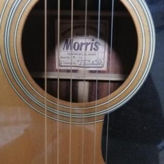 Morrisアコースティックギター