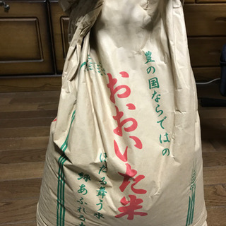 （受渡予定者決定済）2019年産　ヒノヒカリ　玄米　15kg