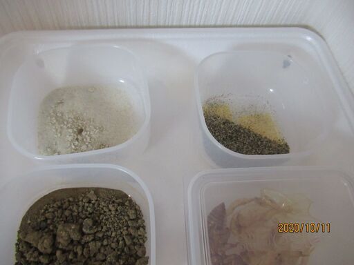 トリオプス カブトエビ の卵 差し上げます 再募集1名様 まい 深谷のその他の中古あげます 譲ります ジモティーで不用品の処分