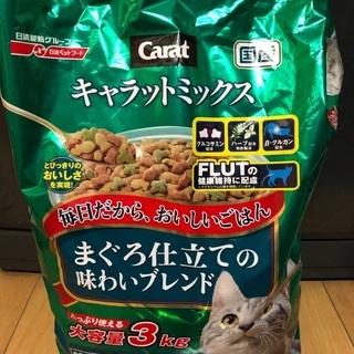 猫用品　カリカリ