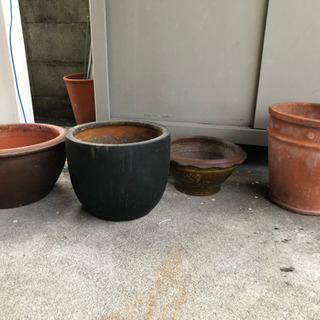 水鉢と植木鉢