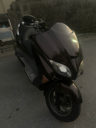 mf08 売りか、交換 【公式通販】