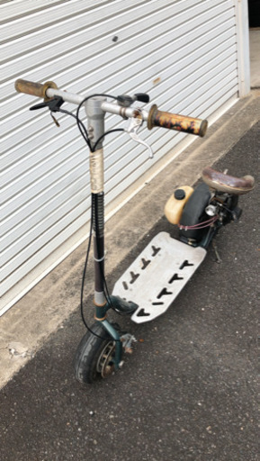 ゴーペット　実動車