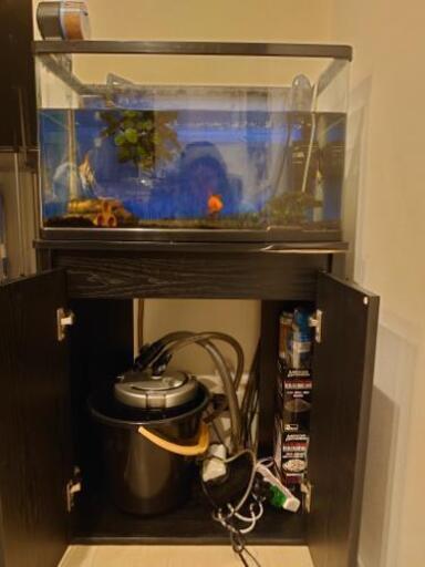 60センチ水槽 濾過器 ヒーター エアーポンプ 水槽台セット ちーさん 三田のその他の中古あげます 譲ります ジモティーで不用品の処分