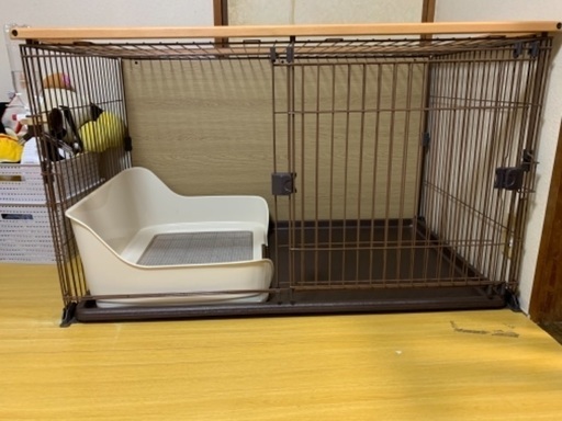 I♡PETSのダブルワンサークル　Lサイズ